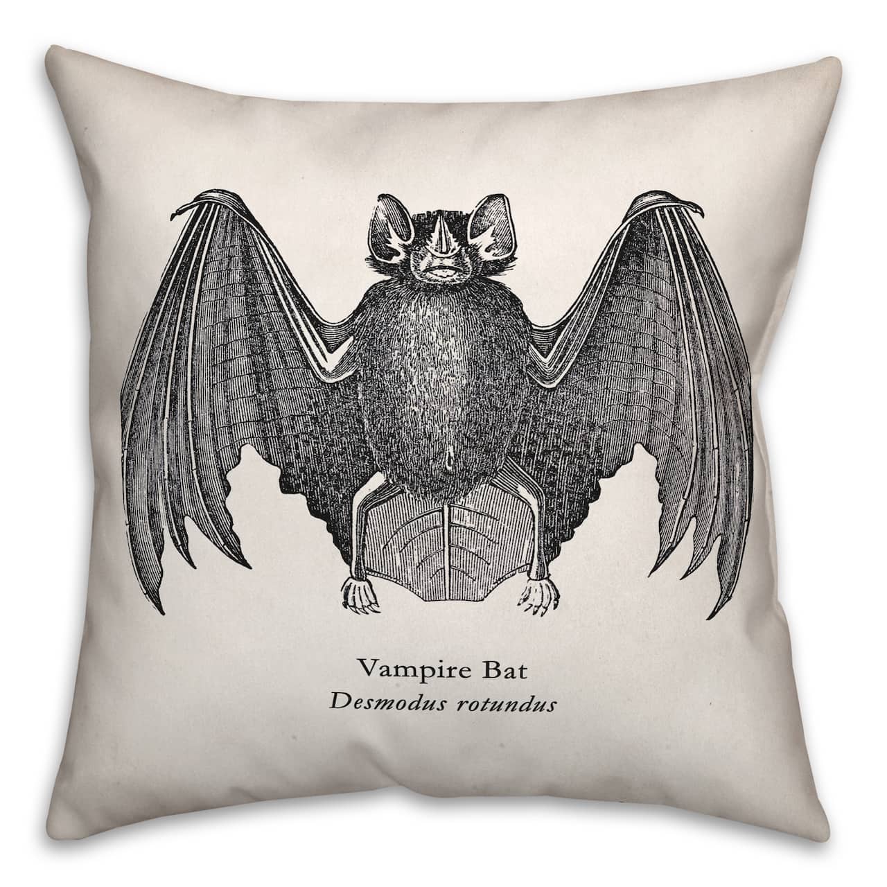 Scientific Bat Throw Pillow Michaels scientific-bat-throw-pillow-michaels